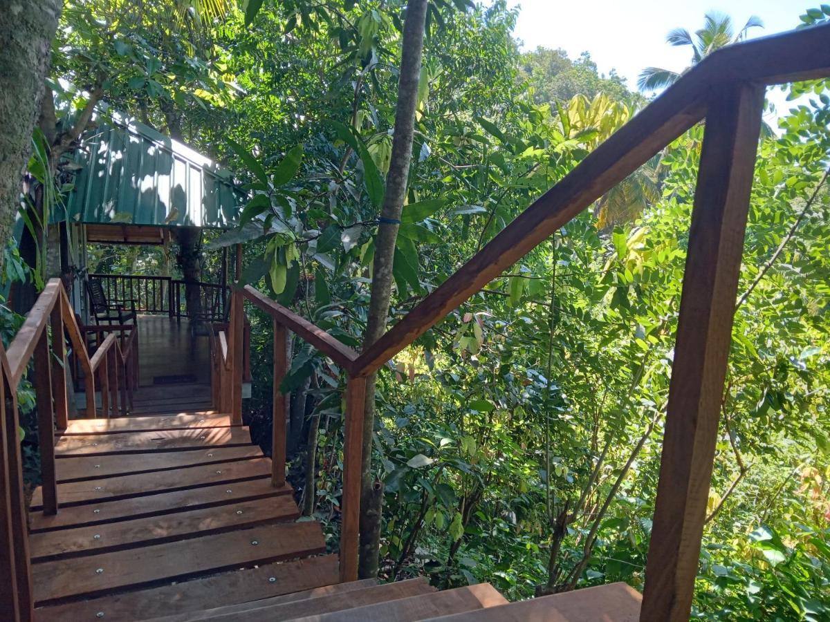 Cinnamon View Lodge Mirissa Eksteriør billede