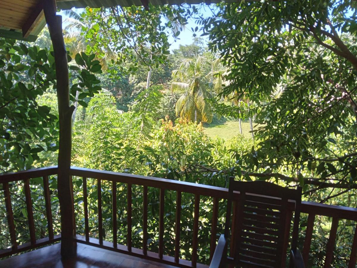 Cinnamon View Lodge Mirissa Eksteriør billede